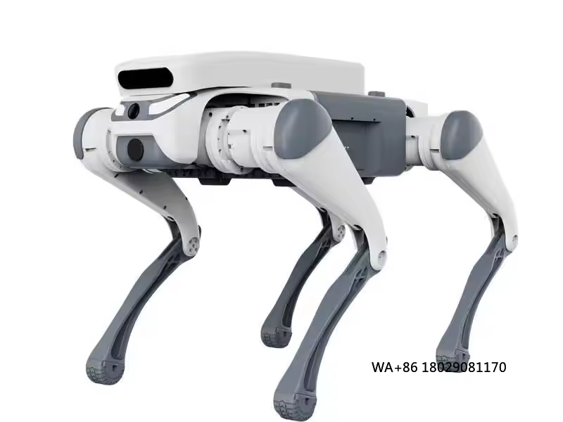 Jouet éducatif télécommandé po - Dog Toys avis et prix