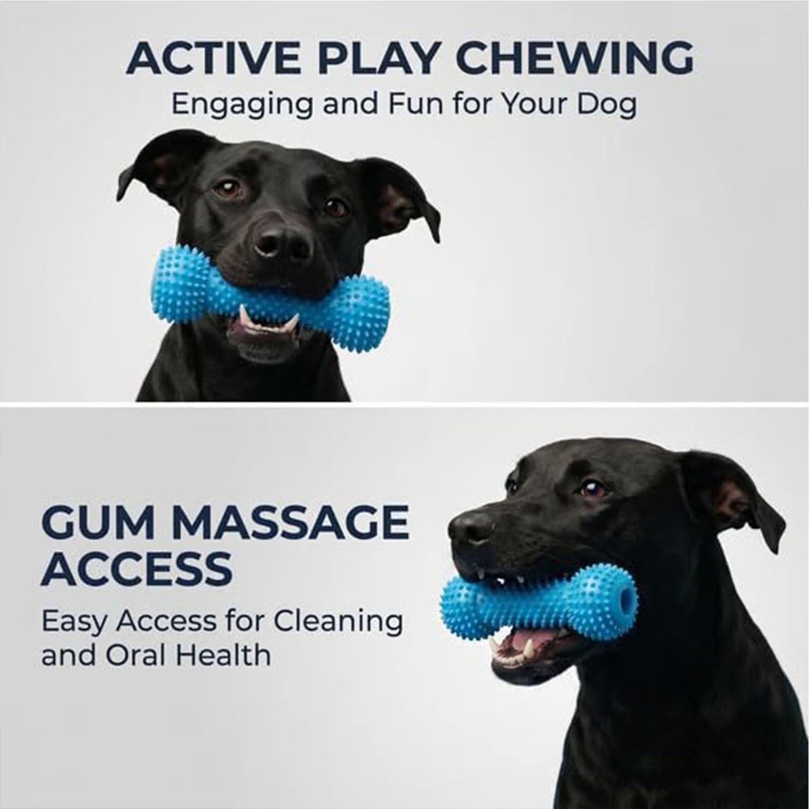 Jouets pour brosser les dents  - Rubber Treat Dispensing Dog Toy avis et prix