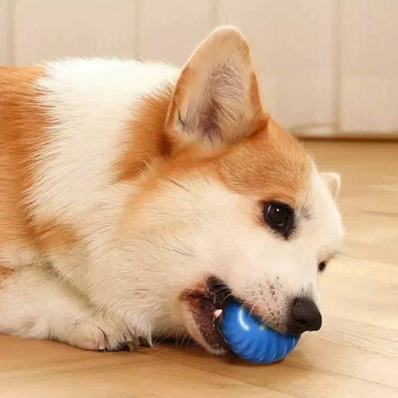 Balle de jeu pour chien, balle - Automatic Moving Dog Ball avis et prix