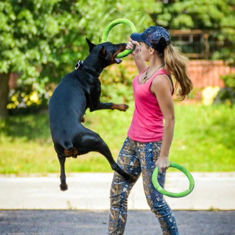 /05/2019 volants OligDog pour  - Flying Disc Dog Training Toy avis et prix